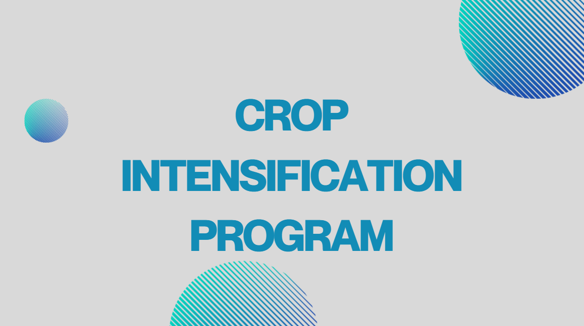 Crop Intensification Program