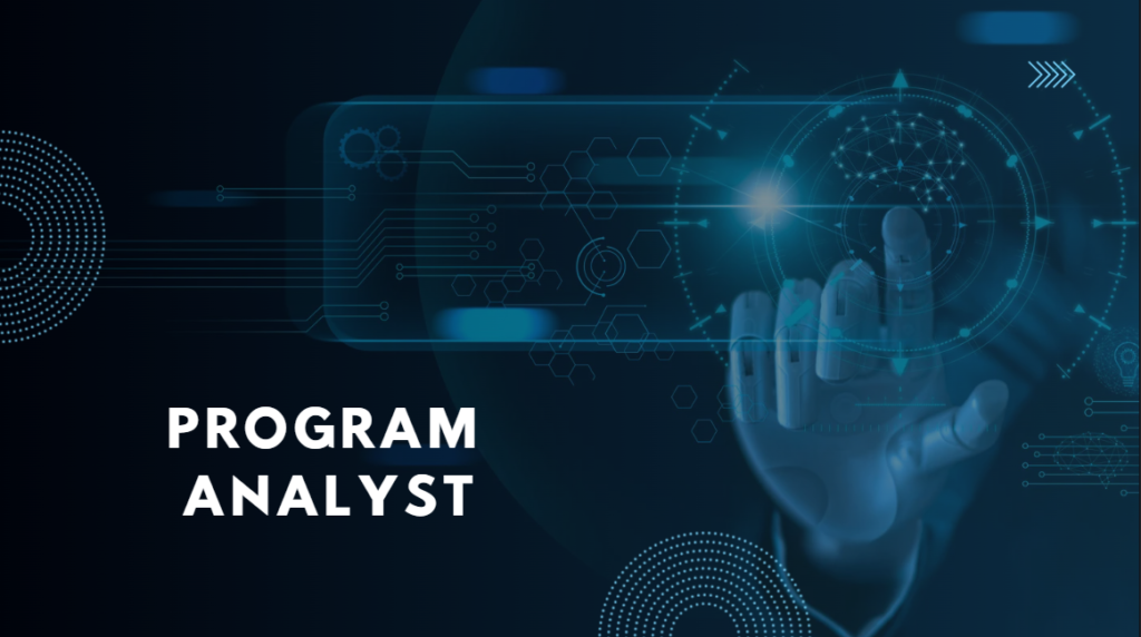 Program Analyst