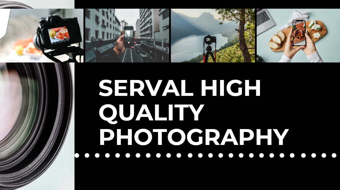 Serval High Quality Photography
