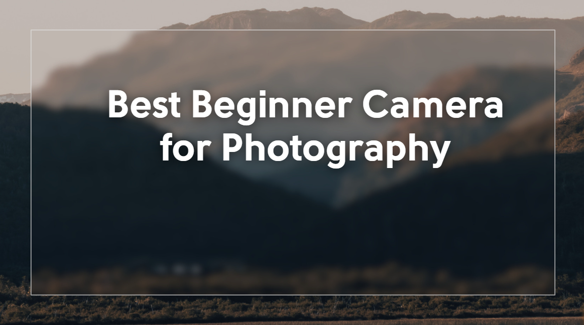 Best Beginner Camera for Photography
