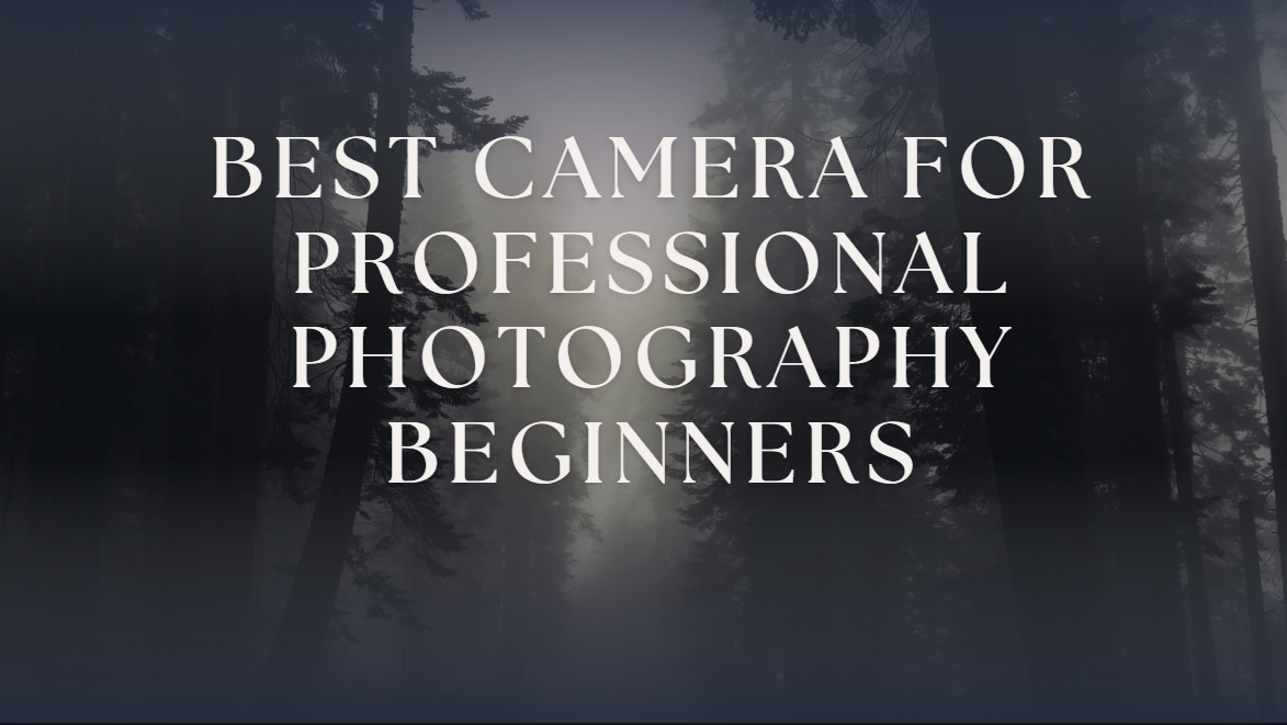 Best Camera for Professional Photography Beginners